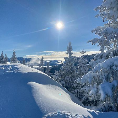 Trollenhof Im Allgaeu - Ferienwohnungen Saeuling Ruckholz Bagian luar foto