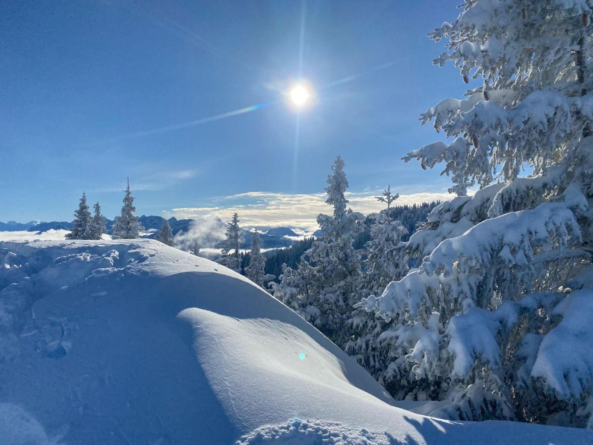 Trollenhof Im Allgaeu - Ferienwohnungen Saeuling Ruckholz Bagian luar foto