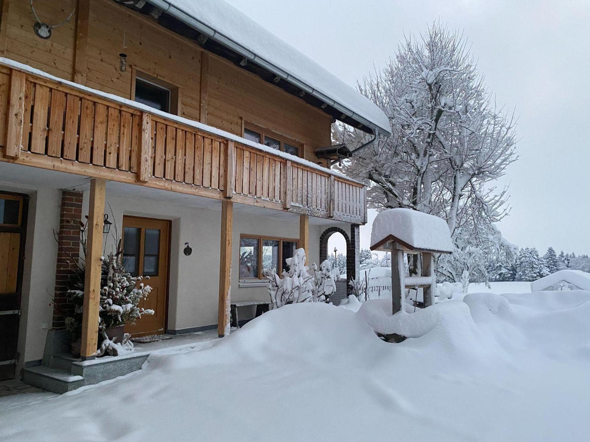 Trollenhof Im Allgaeu - Ferienwohnungen Saeuling Ruckholz Bagian luar foto