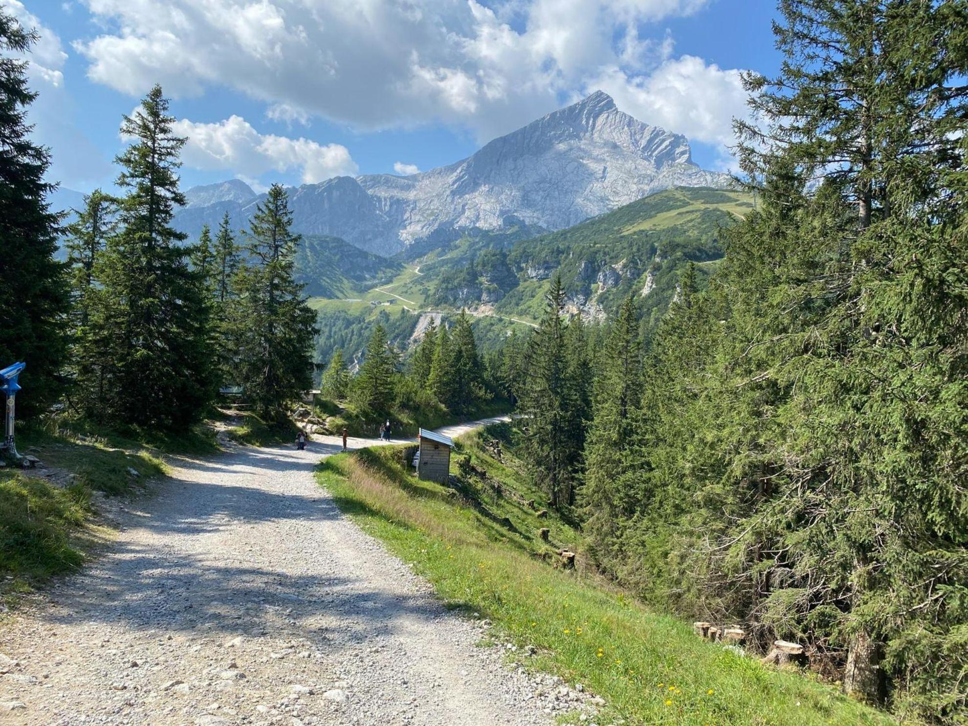 Trollenhof Im Allgaeu - Ferienwohnungen Saeuling Ruckholz Bagian luar foto
