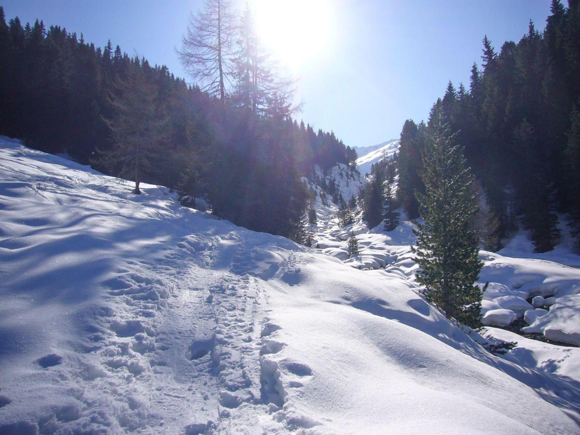 Trollenhof Im Allgaeu - Ferienwohnungen Saeuling Ruckholz Bagian luar foto