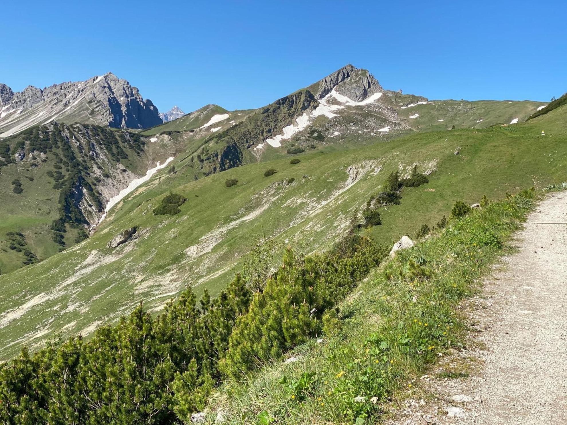 Trollenhof Im Allgaeu - Ferienwohnungen Saeuling Ruckholz Bagian luar foto